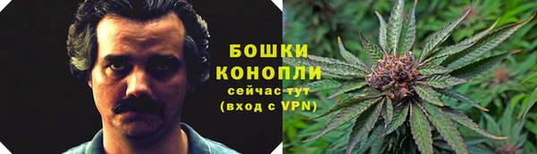 Альфа ПВП Надым