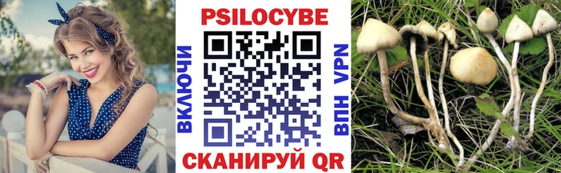 Псилоцибиновые грибы прущие грибы  Купить  Камышлов 
