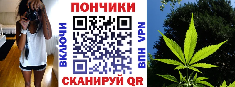Шишки марихуана конопля Камышлов
